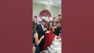 Angry groom loses it during wedding cake cutting ceremony, leaving guests and bride horrified