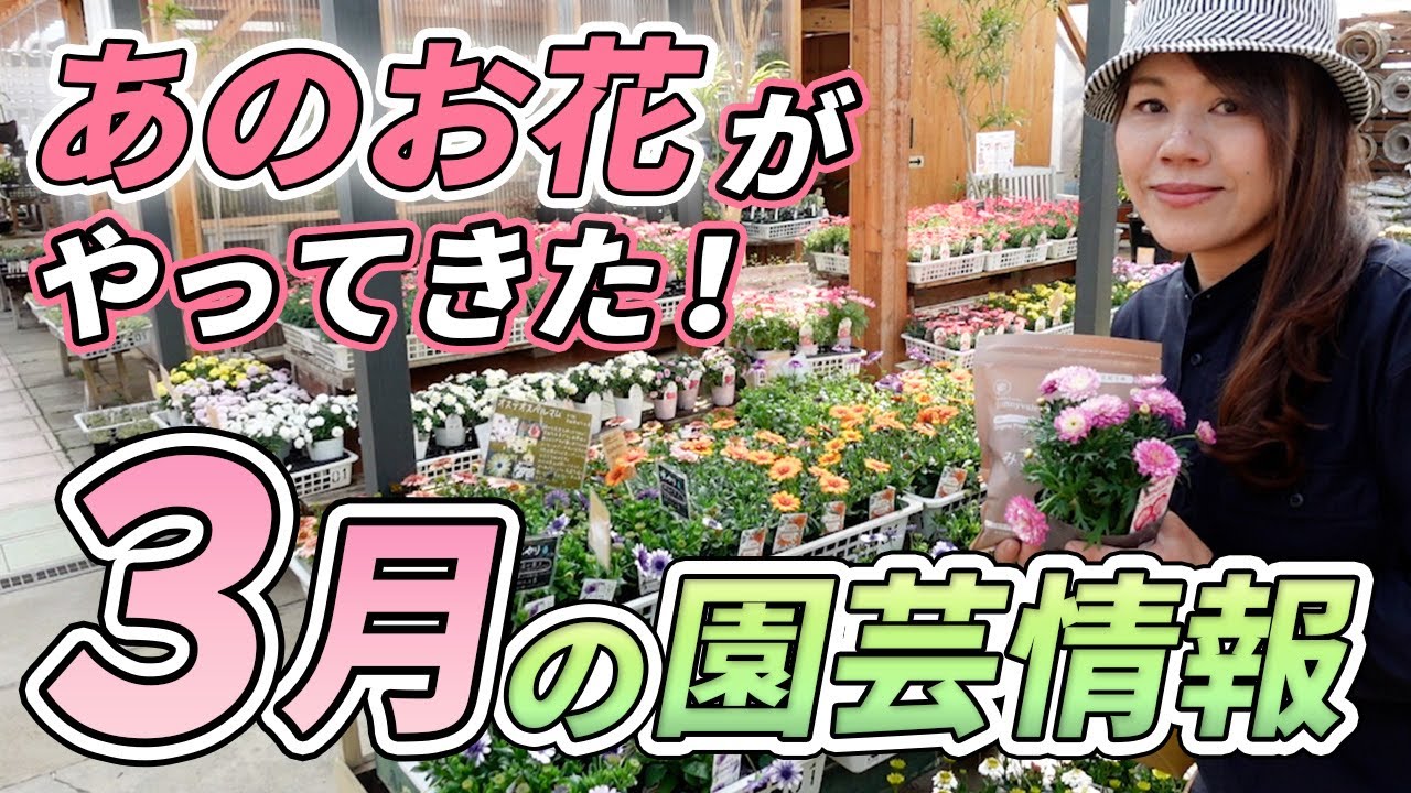 Latest Spring Information] Introducing recommended gardening