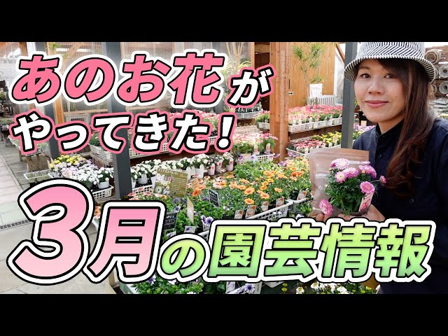 花摘み 花摘み 花摘み 花摘み カード検索 ｜ Z/X - Zillions of enemy X