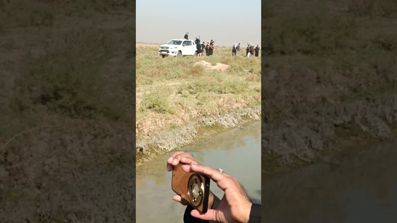 عراضت المواجد بيت جويس