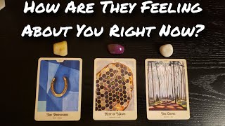 🙄💗 How are They Feeling About You Right Now? Pick A Card Love Reading 