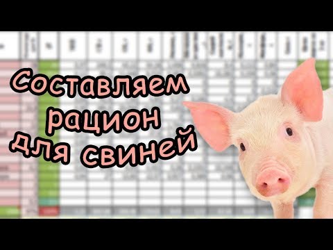 Как составить рацион кормления свиней