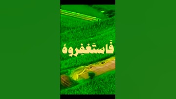 تلاوة تفوق الوصف بصوت يريح القلب #elmulquranعلم #قران_كريم #تلاوة #المصحف #trend #اكسبلور #aslam