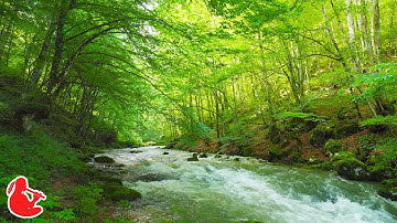 Healing Native American Flute & Nature Sounds | Deep Sleep, Stress Relief, Emotional Balance