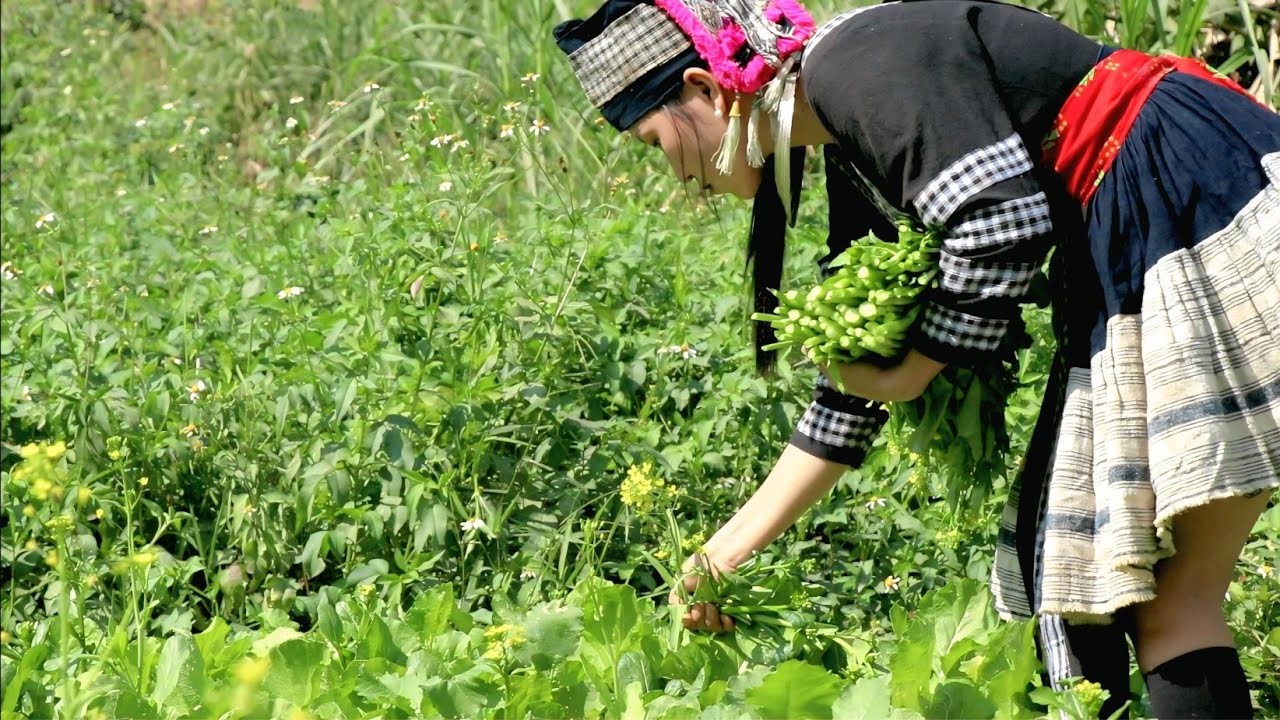 From seed to plate | A natural 60 days vegetable growing.