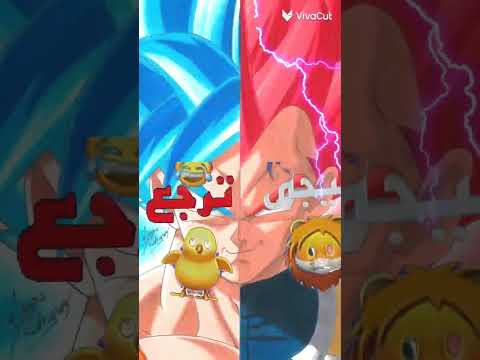 بنجور هلعب جوله وطفي النور