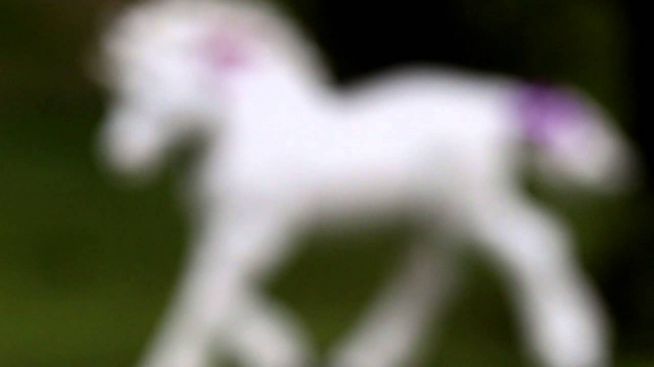 Safari LTD Fantasy and Dragons