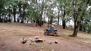 Yamaha bruin 350