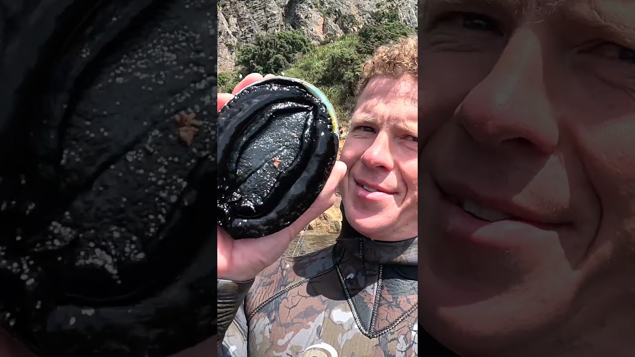 Лучшие пироги с морским ушком (абалоном).