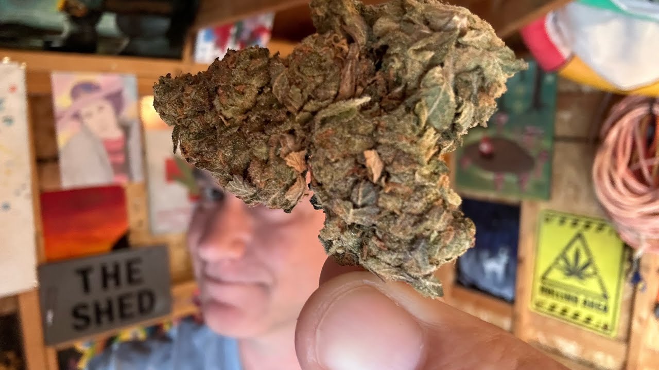 2023 08 14 The Shed! with Skosha Crab Cakes 7g