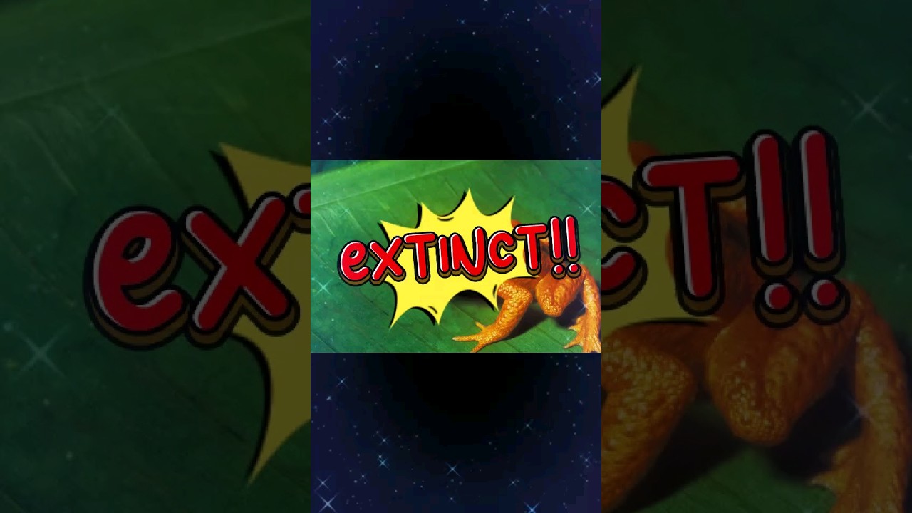 Extinct!! - Golden Toad 