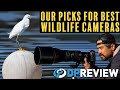 The best cameras for wildlife photography at 3 budgets