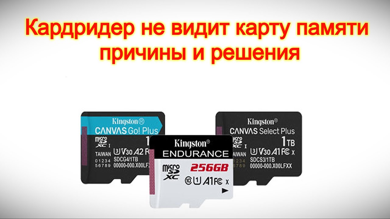 Кардридер не видит карту памяти — причины и решения
