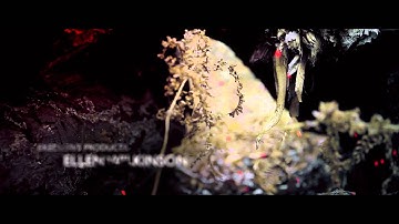 TECH2004 Digital Video assignment - Jonny Norton