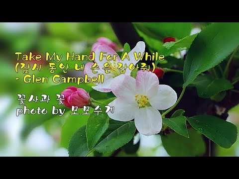 Take My Hand For A While (잠시 동안 내 손을 잡아줘) / Glen Campbell & photo by 모모수계