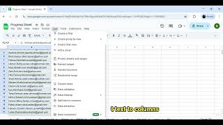Split Text into Columns in Google Sheets | Separate a Text String #dataextractor