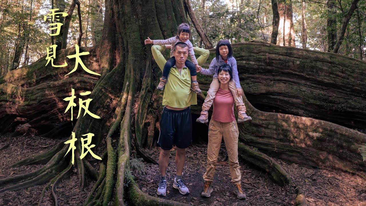 Ночной поход к гигантским корням-контрфорсам на Тайване