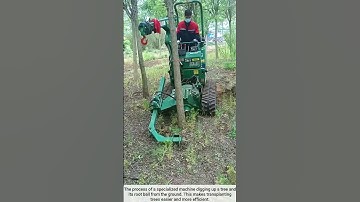 The process of digging up a tree with a machine