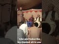 Naat Shan e ahlebeat