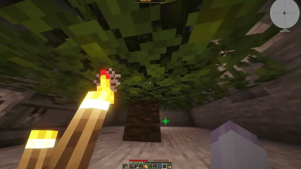 This echo trapped me in a stone world | FTB Stoneblock 4