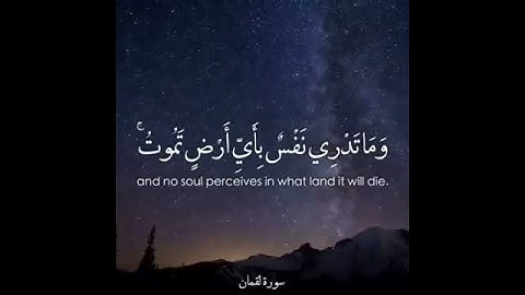 بصوت الشيخ ماهر معيقلي الآية {34} من سورة لقمان .🌹