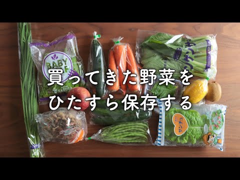 長持ちする！野菜の保存方法【冷蔵庫収納】