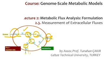 Lecture 2.3 - Measurement of Extracellular Fluxes | Genome Scale Metabolic Models
