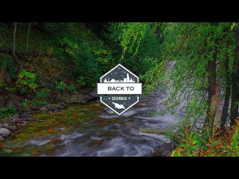 ზვიად ბოლქვაძე \u0026 ლიზი რამიშვილი - გაზაფხულს გადარებ #გაზაფხულსგადარებ #ზვიადბოლქვაძე #ლიზირამიშვილი