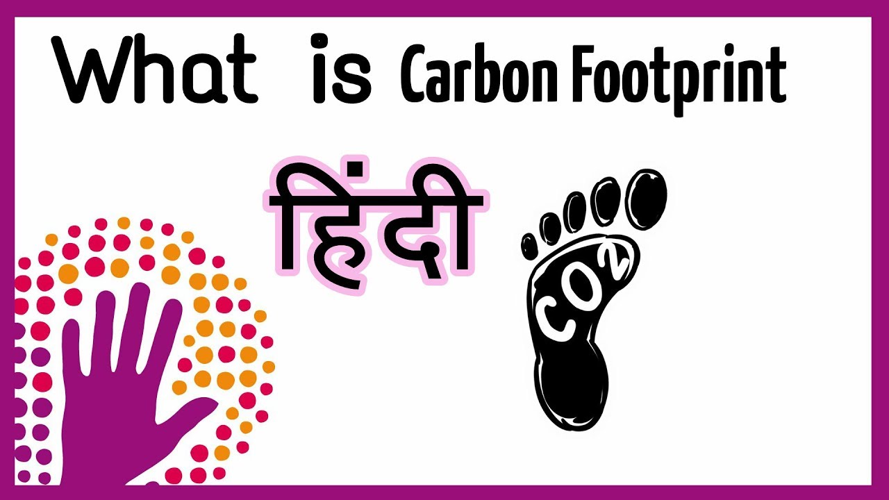 What Is Carbon Footprint Environment Studies Hindi Urdu On