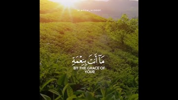 سورة القلم | القارئ إسلام صبحي