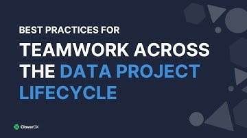 Teamwork in data projects: Best practices for version control, DataOps, and data quality