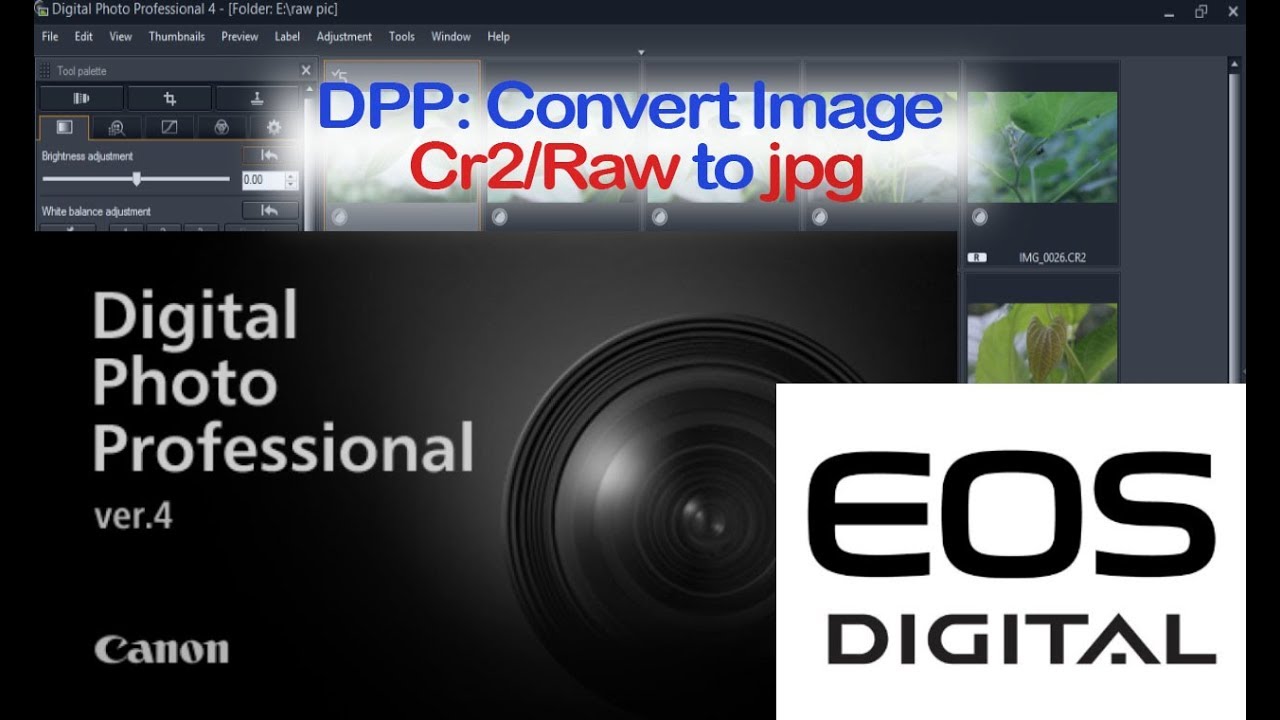 canon cr2 to jpg converter