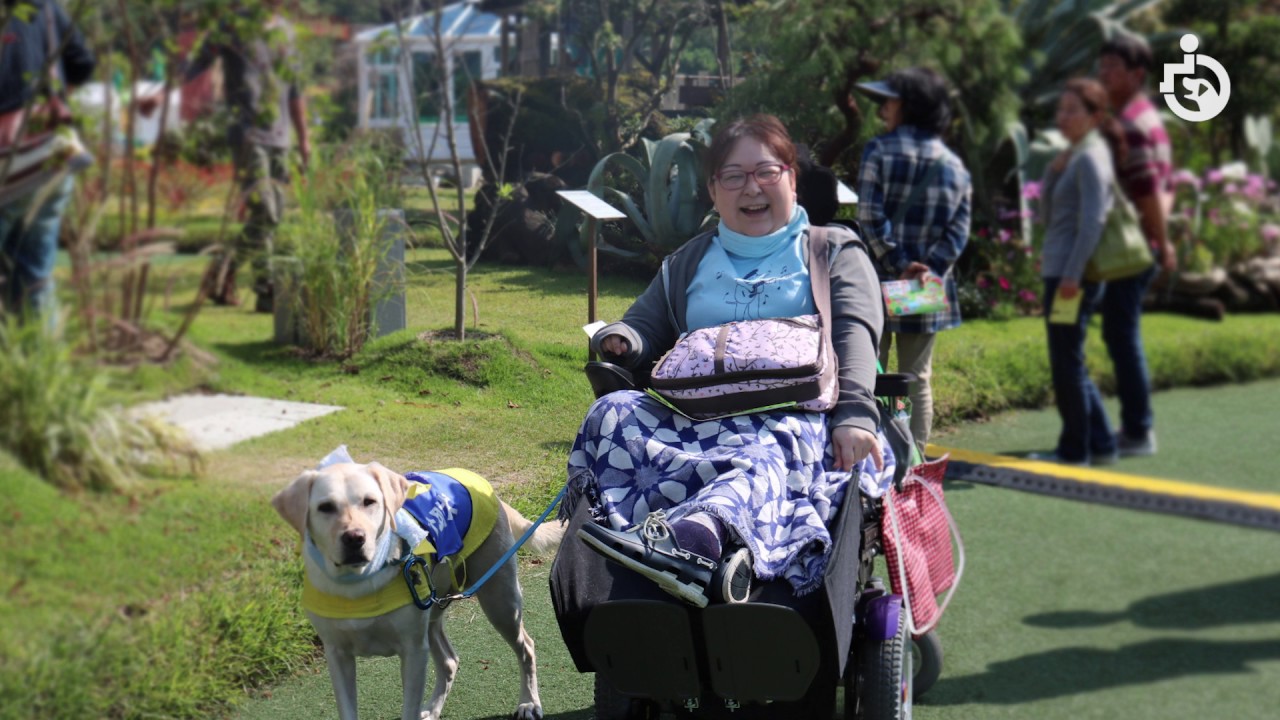 Japan Service Dog Association (English ver.)