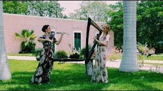 And I Love Her (Electric Violin and Harp cover) - Beatles - Musa