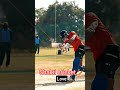 cricket lover