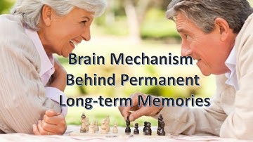 Brain mechanism behind permanent long term memories