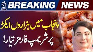 Maryam Nawaz | Shrimp Aquaculture | Punjab Shrimp Farms | Blue Economy - Aaj News