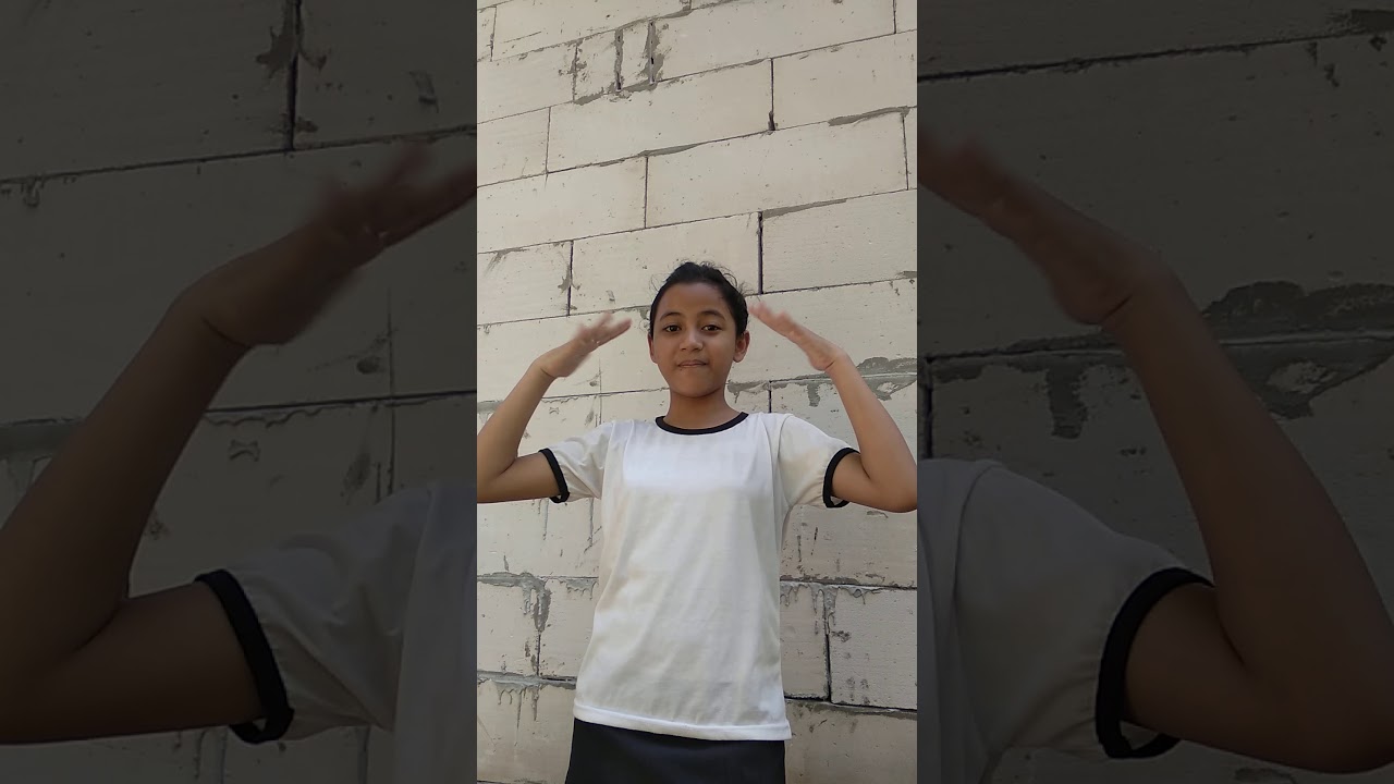 Pohon ketapang - YouTube