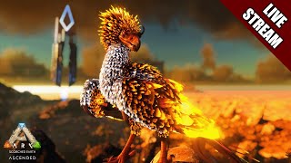 I WANT A PHOENIX | SCORCHED EARTH LIVESTREAM