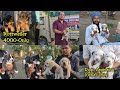 Cheapest Dog Market Outside Dog Show | Yamuna Nagar Dog Show 2020