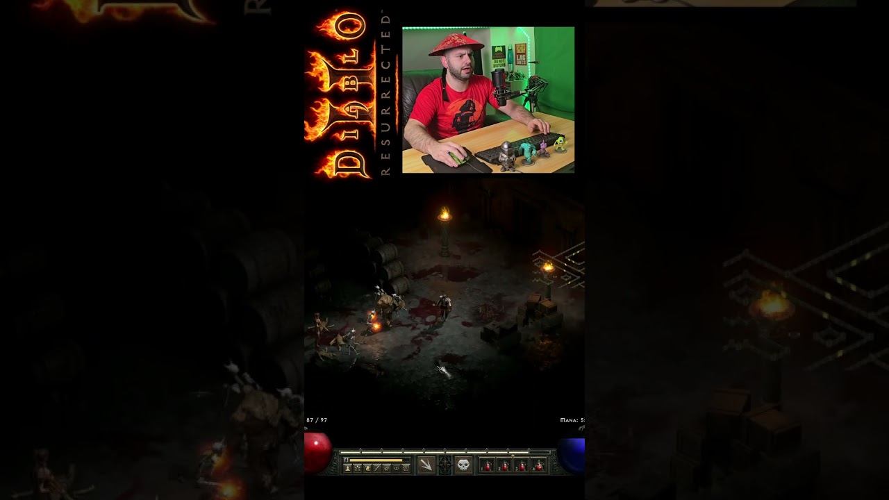 Necromancer Run In Diablo II: Resurrected, 