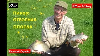 видео: 24. Пикер и отборная плотва.  картинка: 24. Пикер и отборная плотва.