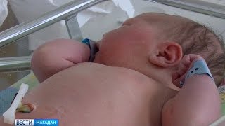 Колыма поможет вырастить первенца Колыма поможет вырастить первенца