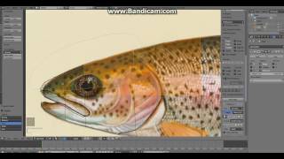 blender how to make cool and easy fish