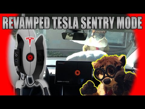 Thabo VS the New Tesla Sentry Mode