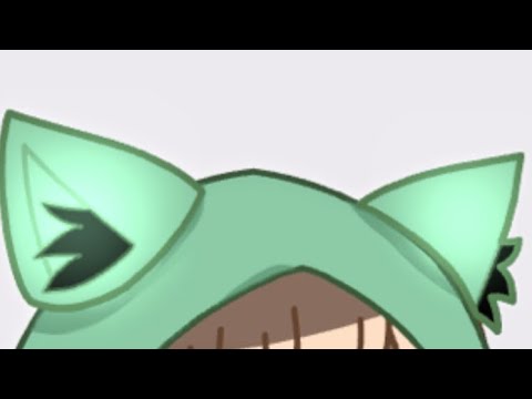kitty cat cat meme【yrmn】