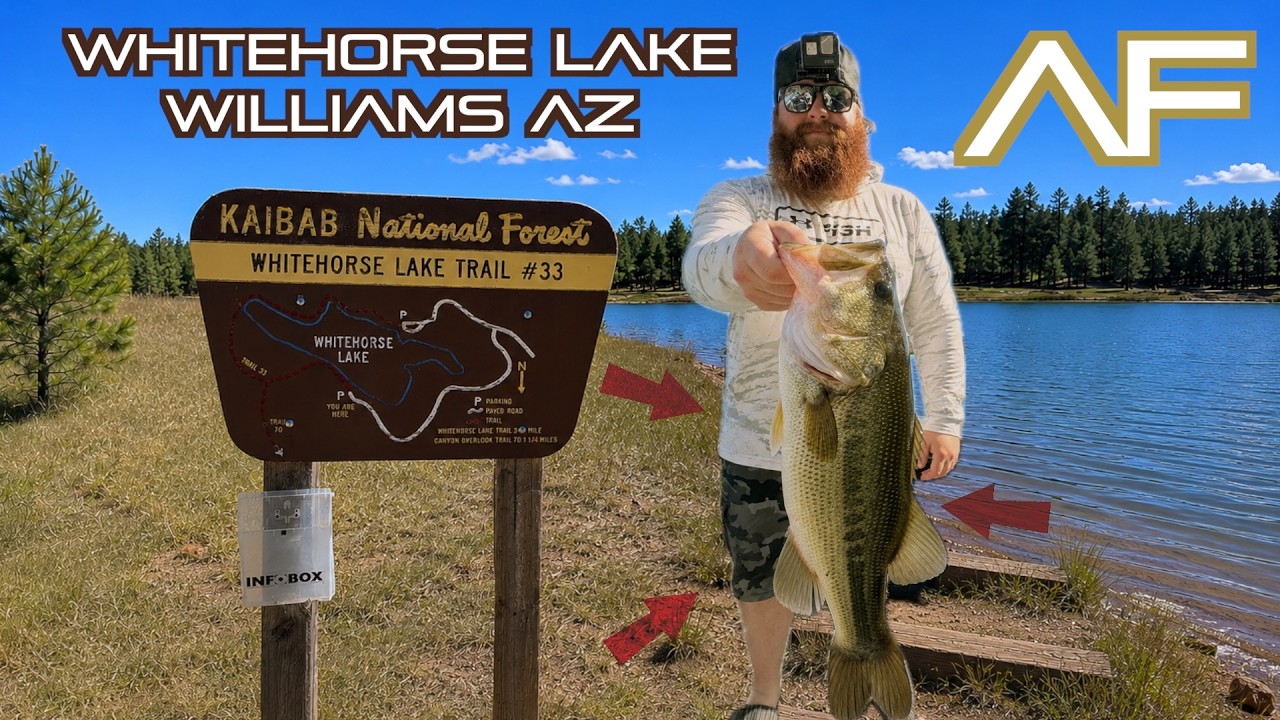 Northern Arizona Bass Fishing At Whitehorse Lake (Big Bass w/ Bobber)
