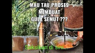 Mau Tau Cara Membuat Gula Semut..????? Yu Intip Tetangga..