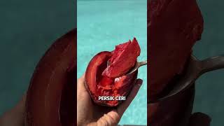 rasa buah mamey sapote #fruit #trending #semuaorang #jangkauanluas #viralvideo