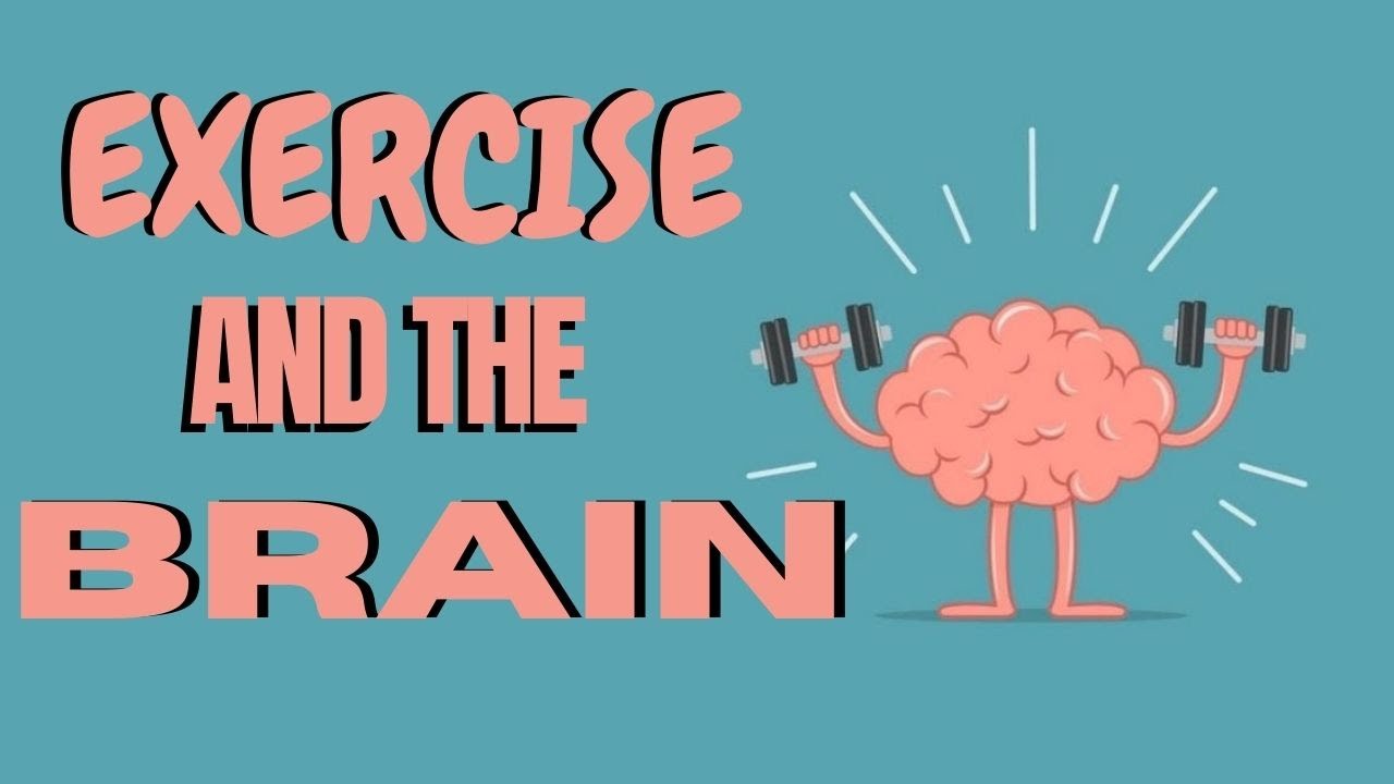 EXERCISE AND THE BRAIN - YouTube